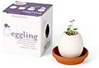 Eggling Plants