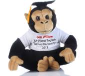 Graduation Monkey