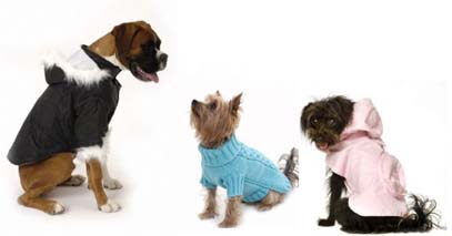 Designer Wear For Dogs